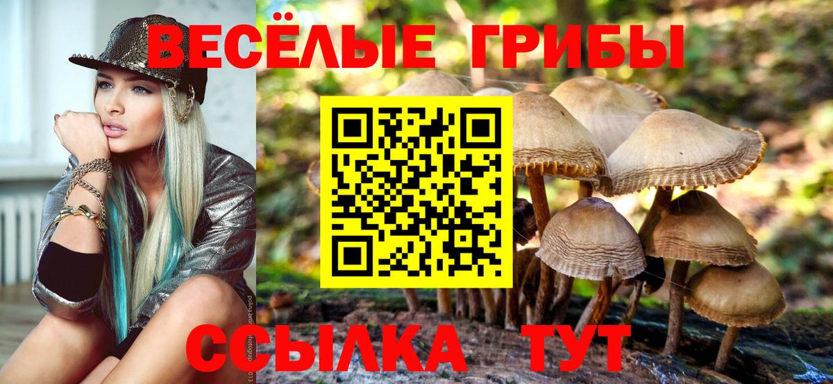 Псилоцибиновые грибы GOLDEN TEACHER  Вход с VPN  Ногинск 